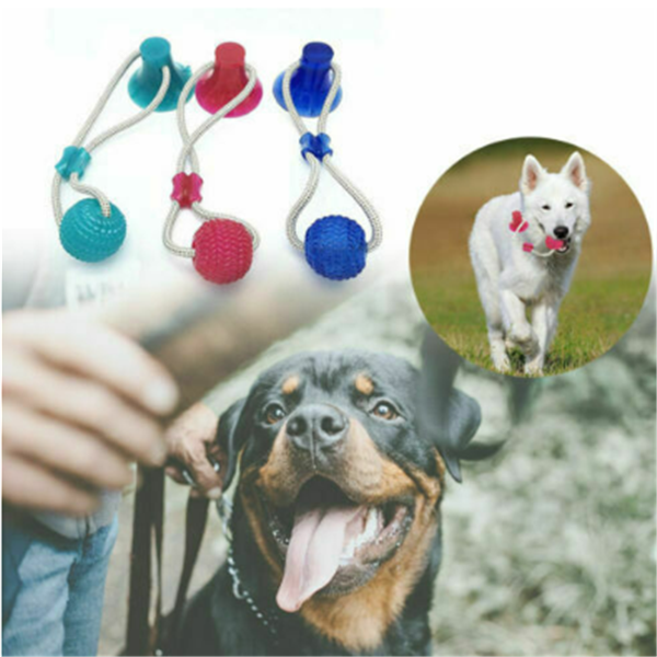 Durable Dog Chew and Teething Toy with Suction Cup
