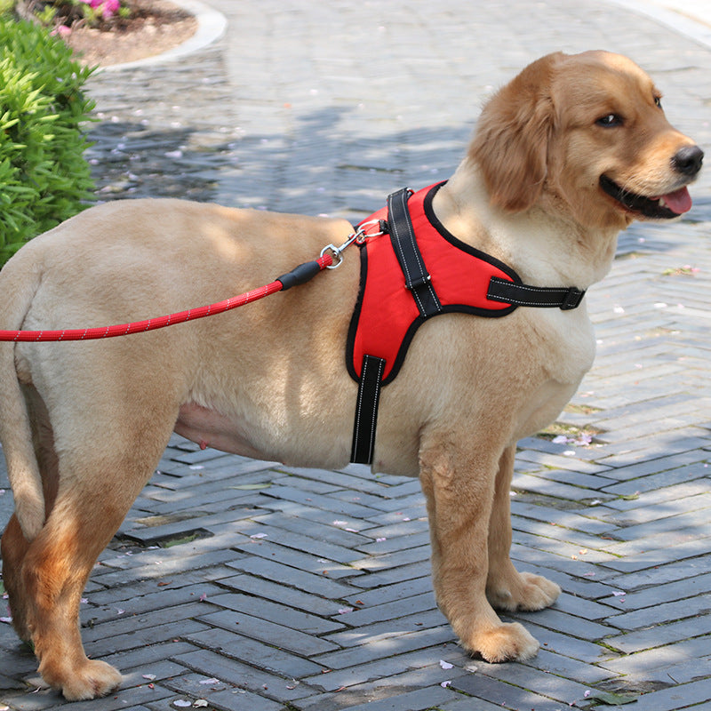 Nylon Medium Large Dog Harness with Reflective Collar