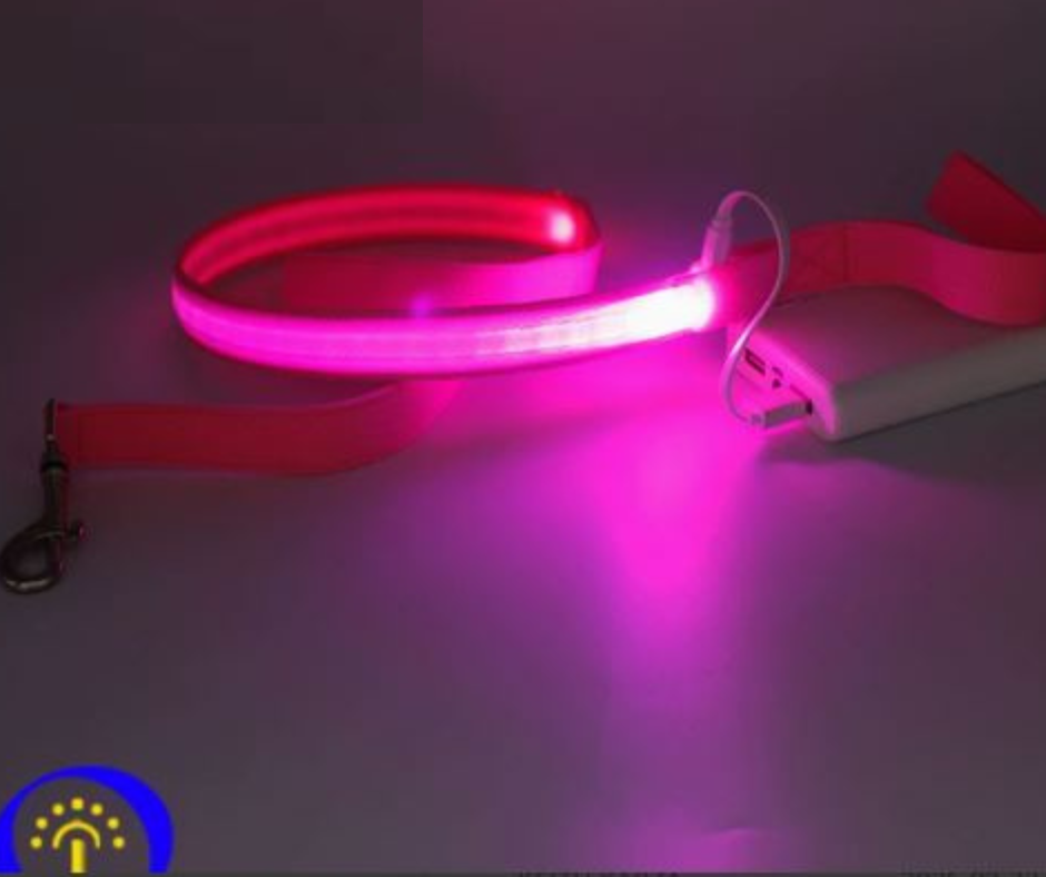 LED Reflective Harness with Leash for Pets