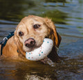 Durable Chew Toy Football for Dogs