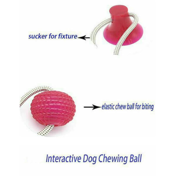 Durable Dog Chew and Teething Toy with Suction Cup