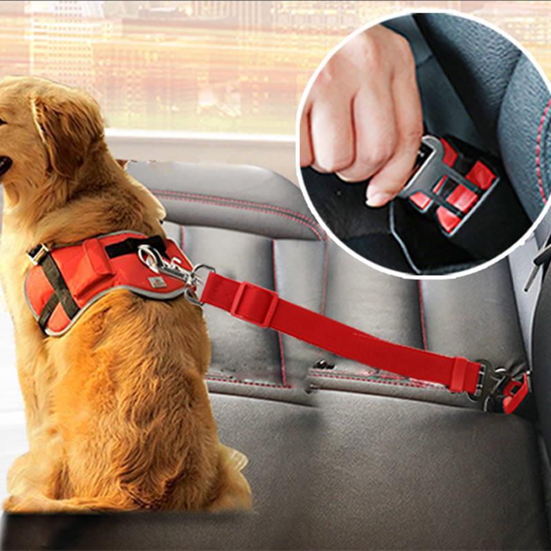 Telescopic Dog Traction Belt and Car Rope