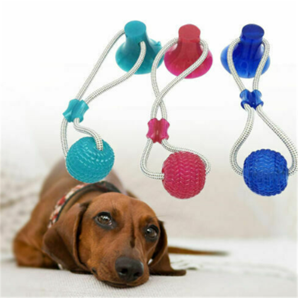 Durable Dog Chew and Teething Toy with Suction Cup