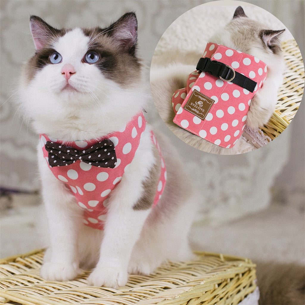 Cute Cat Chest Harness with Traction Rope