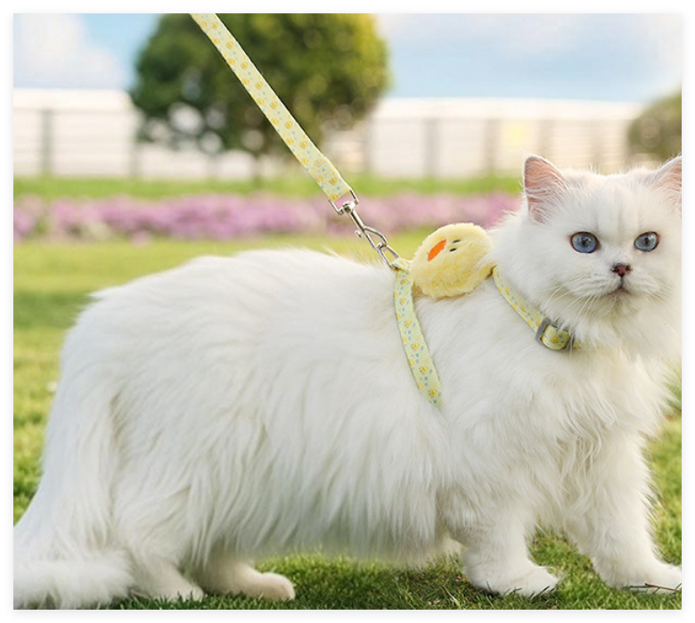Adjustable Pet Chest Harness with Traction Leash