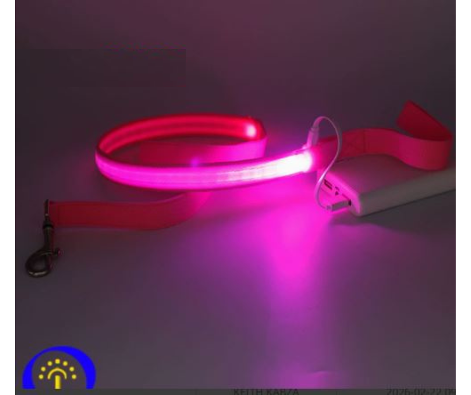 LED Reflective Harness with Leash for Pets