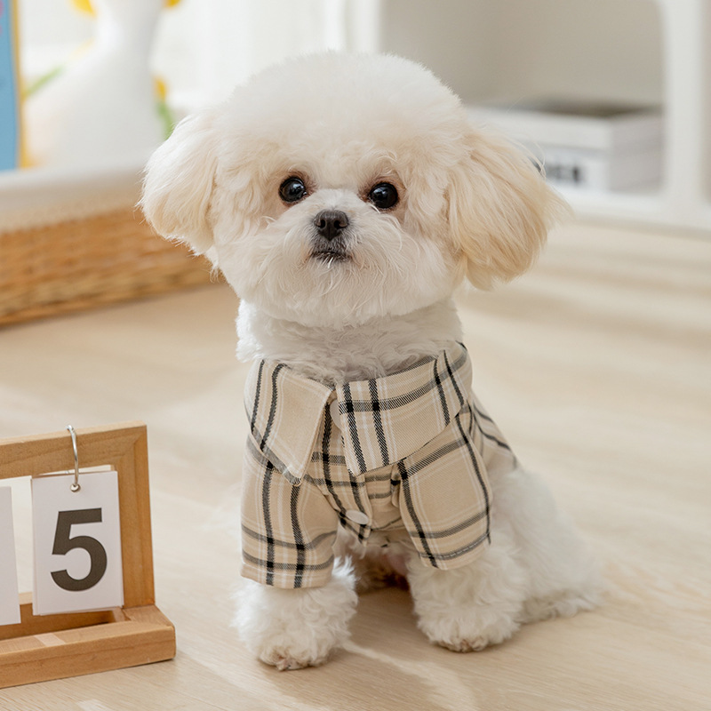 Warm Velvet Vest for Small Dogs and Cats
