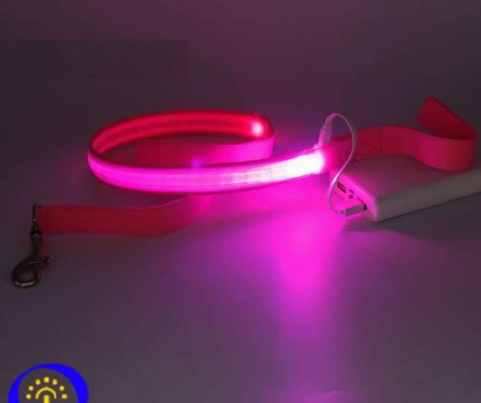 LED Reflective Harness with Leash for Pets