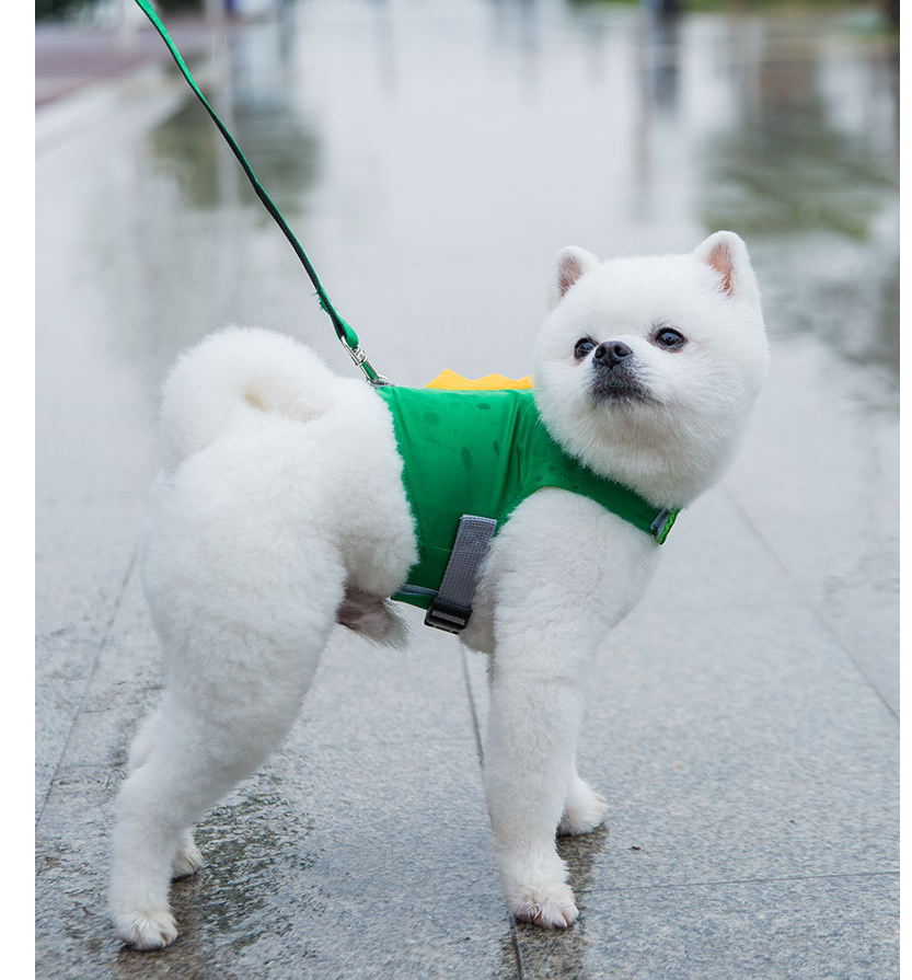 Cute Cartoon Dog Vest Harness and Leash for Pets