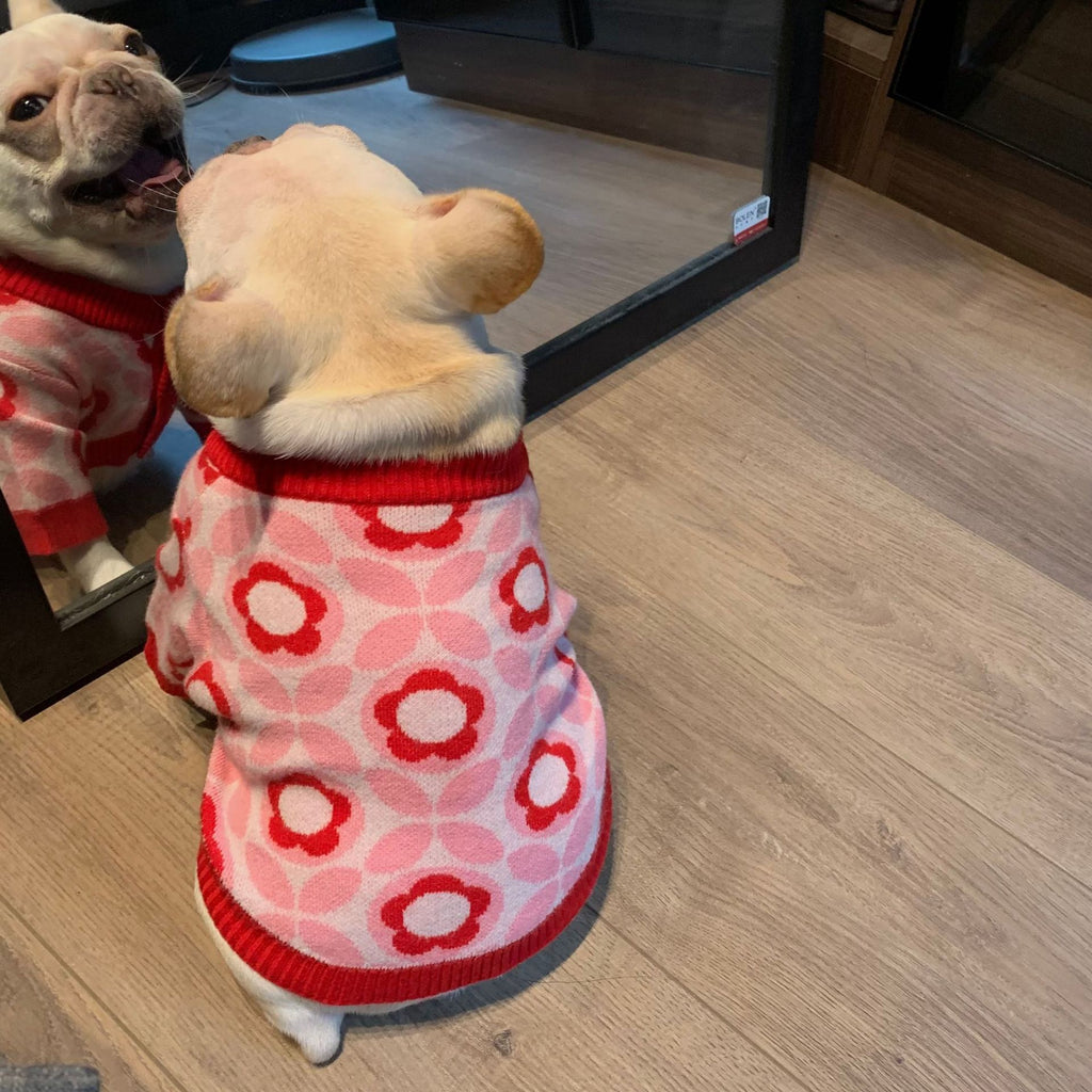 Dog Jacquard Sweater for Autumn and Winter